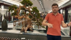 Китайская антикварная мебель в Китае с МБЛтур| Последний экземпляр