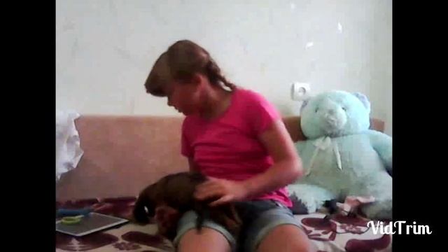 Мне завели щенка ! Давай поговорим смотреть онлайн