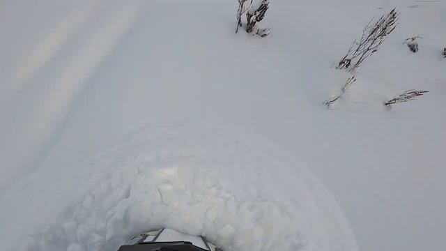 POLARIS PRO RMK 800 выезд 8.01.23 смотреть онлайн