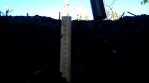 Пинпоинтер Тесоро тест  на грунте (пин самодельный).