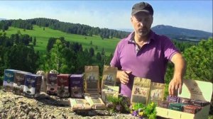 о пользе травяного чая Алтайский чай