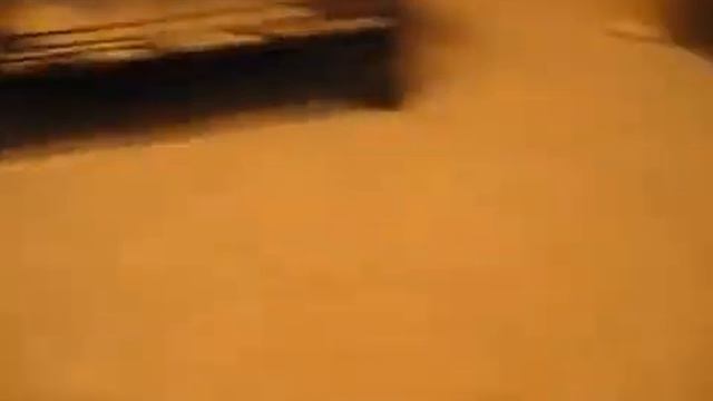 приколы с собаками смотреть онлайн