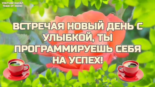 Доброго Солнечного Утра ☕️ С Добрым Утречком Хорошего Дня Открытка! #сдобрымутром #доброеутро
