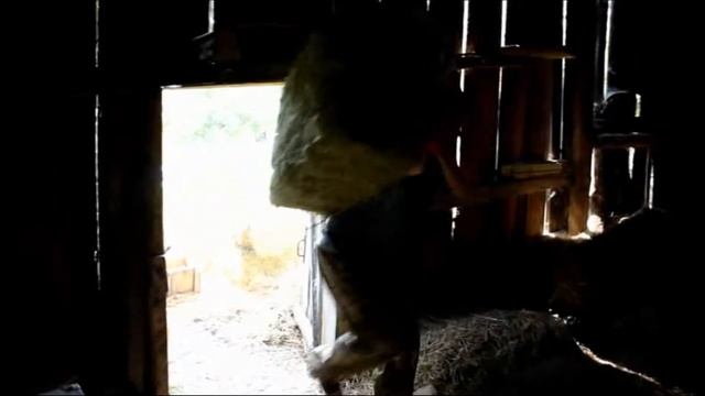 Заготовка сена на зиму для коз.Harvesting hay for the winter for goats. смотреть онлайн