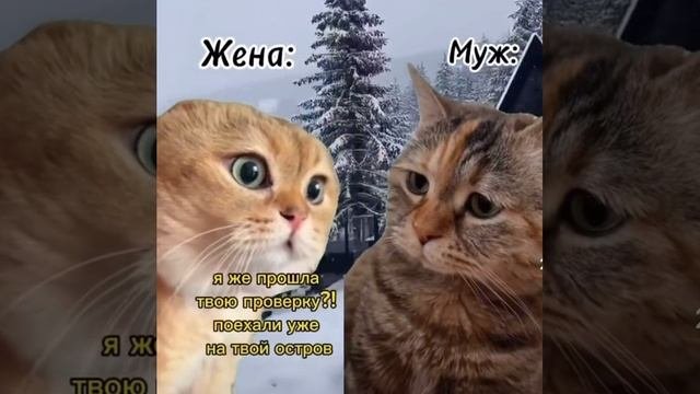 Богатый