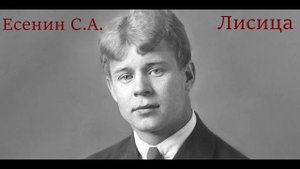 Сергей Есенин - Лисица. Стихотворение.