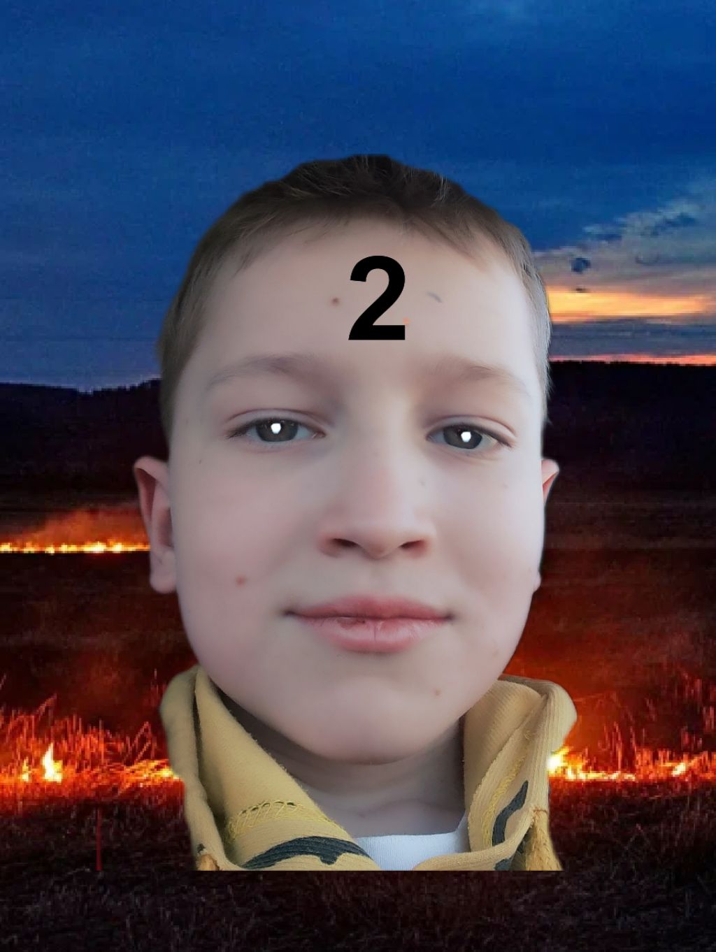 Pasha