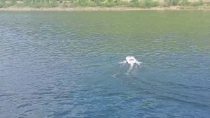 карповый кораблик  Одесса с мотором 3660 на 2000кв