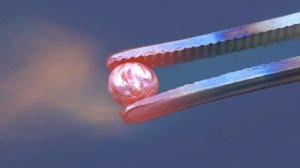 Рений - Металл, Без Которого Не Было бы БЕНЗИНА!