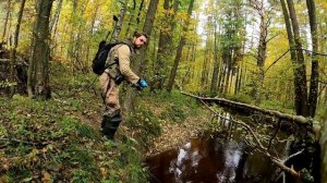 Рыбалка на микроречке в Ленинградской области.Ищем форель#fishing #рыбалкаспб #микроречка#форель