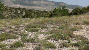 Маршрут №9: Бельбекcкие ворота (село Танковое). Большой каньон Крыма