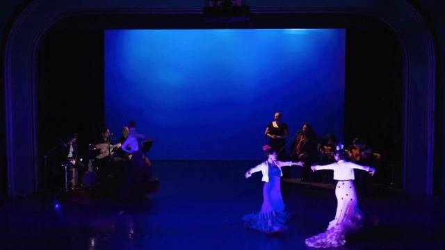 Silencio For Flamenco Alegrías - Flamenco Dance & Guitar • Diego Alonso Music