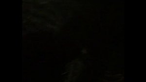 Рыбалка в астраханской области поселок Вышка 2017