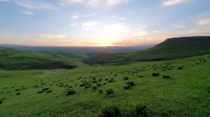 Sounds of a Mountain Pasture at Sunset