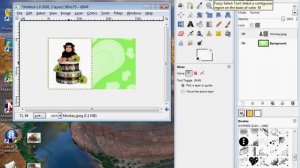 GIMP White Background Removal Tutorial