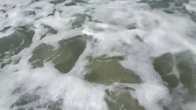 Солянка сборная