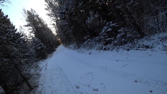 Охота #214 хитрый заяц смотреть онлайн