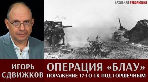 Игорь Сдвижков. Операция "Блау". Поражение 17-го танкового корпуса под Горшечным