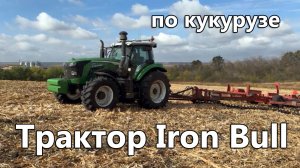Трактор IRON BULL модели TTS2404 по кукурузе Воронежская область. Что стало с шинами?