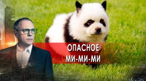 Опасное ми-ми-ми. Самые шокирующие гипотезы с Игорем Прокопенко (07.12.2021).