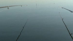 Рыбалка на карася! На поплавок с лодки! Караси не давали покоя!