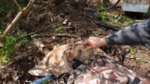 МОЮ ЗОЛОТО ДРАГОЙ (ЯМЫ)