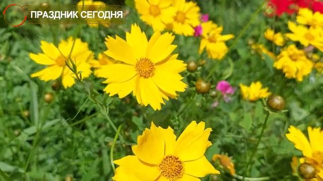 4 июля праздник. Ульянов день. Терентий. Что нельзя делать. Народные традиции и приметы