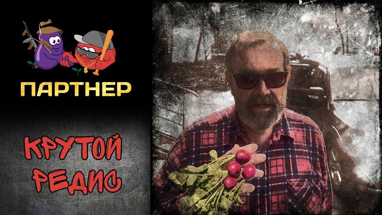 ХИТ! КРУТОЙ РЕДИС ОТ 