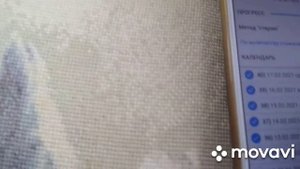 Вышивка крестом Белые Ирисы 60 %