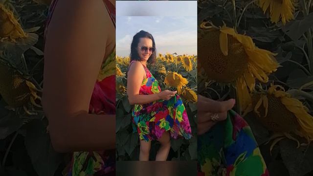 Подсолнухи