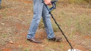 What's the Best Metal Detector for Gold?