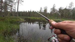 Ловля Хариуса в Карелии. Таежная река. День 3-5.