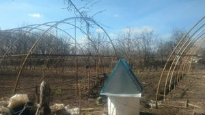 Как выращивать рассаду. (1 урок) Забудь  за проращивание семян☝️?