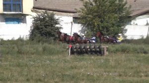 Бега-Заезд рысаков 3 лет-Красноярск 29.08.2015(Лошади-Horse–Animal-racing-к...