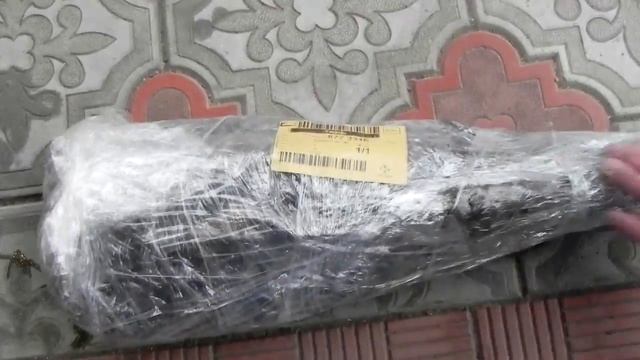 Грецкий орех Идеал. Саженцы ореха Идеал. смотреть онлайн