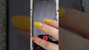 Как записать сторис в Телеграм? Полная инструкция