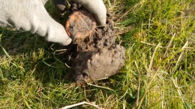 Награда немецкого солдата ждала меня под поверхностью смотреть онлайн