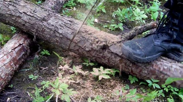 Пила туристическая (Цепная) Барнаул смотреть онлайн