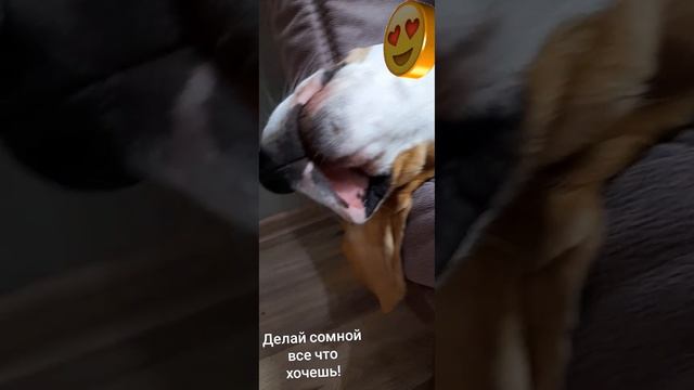 Делай сомной все что хочешь!