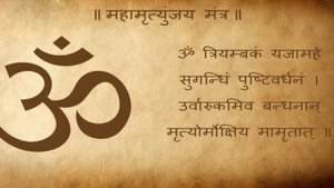 Maha Mrityunjaya Mantra  108 Times By 21 Brahmins  432 Hz