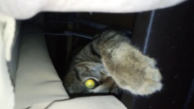 у меня дома под диваны монстр смотреть онлайн