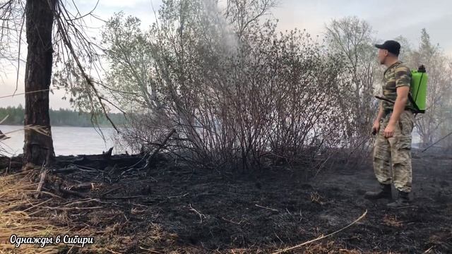 Лесной пожар в пойме реки Обь смотреть онлайн