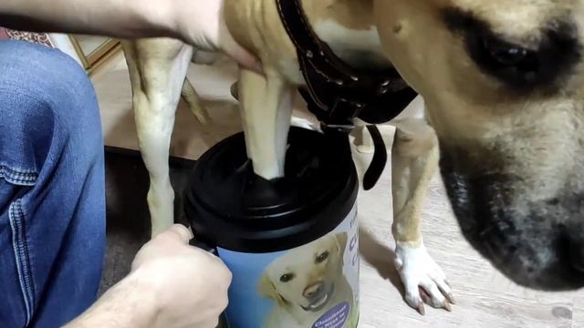 Лапомойка для собак PAW PLUNGER  ?