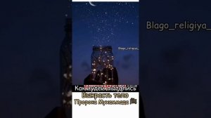 как иудеи пытались выкрасть тело пророка Мухаммада мир ему и благословения Аллаха