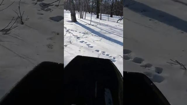 Поездка по лесу на самодельном снегоходе 15 лошадок смотреть онлайн