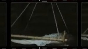 Не стреляйте в белых лебедей 1