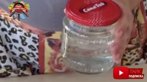 Как стерилизовать банки холодным способом: без духовки и кипятка!