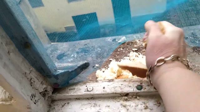 Доброе утро,мой завтрак смотреть онлайн