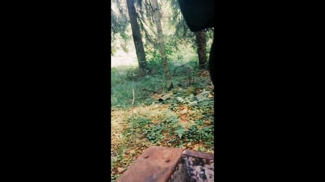 в лес на мотоблоке луч за землей. смотреть онлайн