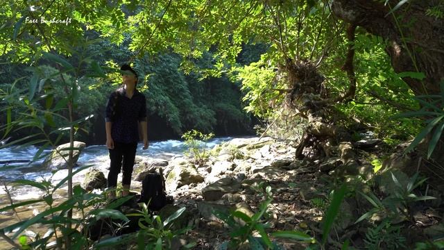 Full Video: 365 days solo bushcraft & camping - Building survival shelter - Free bushcraft смотреть онлайн